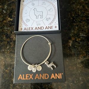 Alex and Ani Gold Zodiac Charm Set